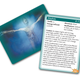 Illustration for article titled New emNumenera/em Card Set